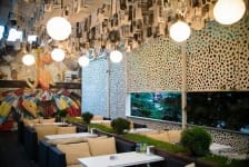 ���� CAFE- cafe �������